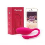 vibrator app