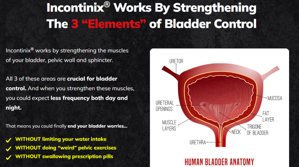 VigRX  Incontinix
Bladder Control Solution For  Urinary incontinence Men 