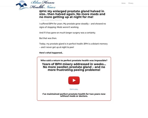 The Prostate Protocol vsl cb | Blue Heron Health News The Prostate Protocol vsl cb | Blue Heron Health News